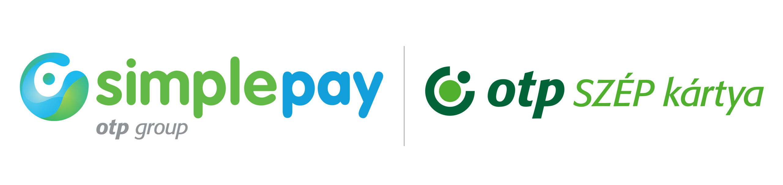 Barion bankkártyás fizetés logó